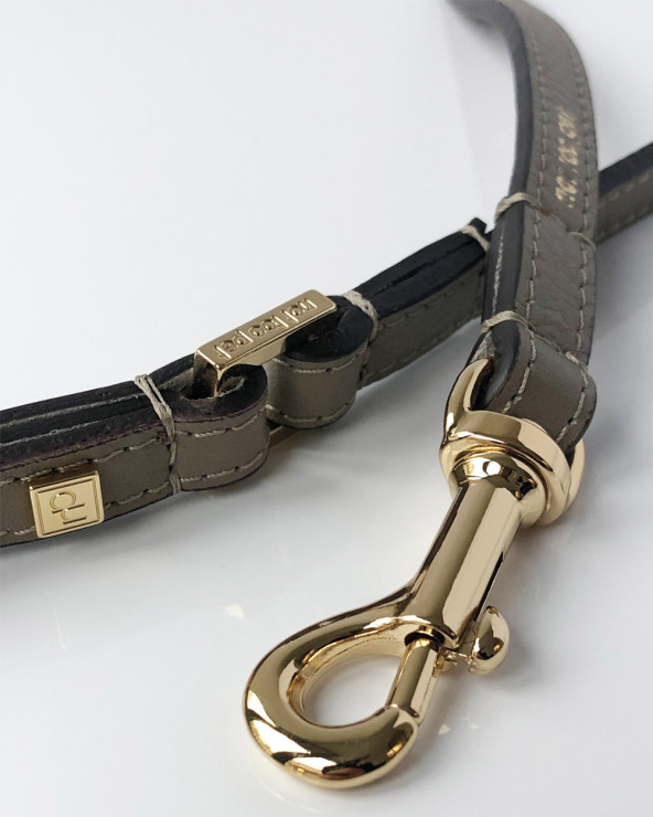 Luxury Dog Leash - Buy Now