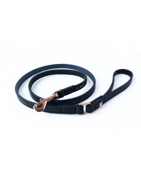 Luxury Dog Leash - Buy Now