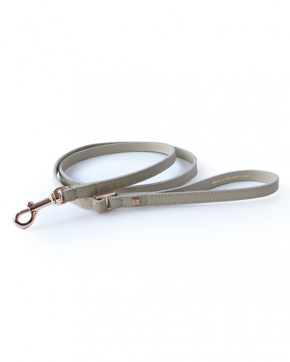 Luxury Dog Leash - Buy Now