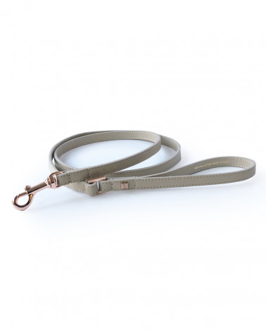 Luxury Dog Leash - Buy Now