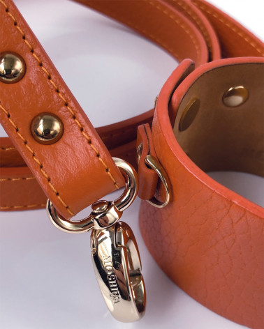 Entdecken Sie den neuen Trend: Hundeleine und Armband in einem.