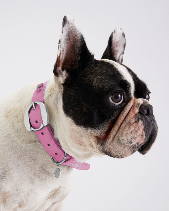 Exclusive dog collar from genuine leather Moshiqa