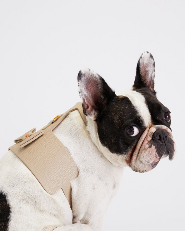 Beautifully crafted dog harness from genuine leather.