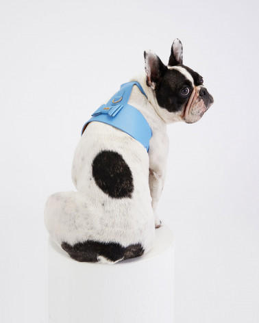 Wunderschön verarbeitetes Hundegeschirr aus echtem Leder.