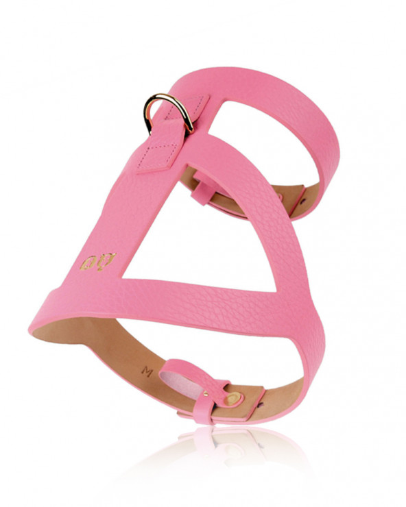 Comfortable dog harness in two colors.