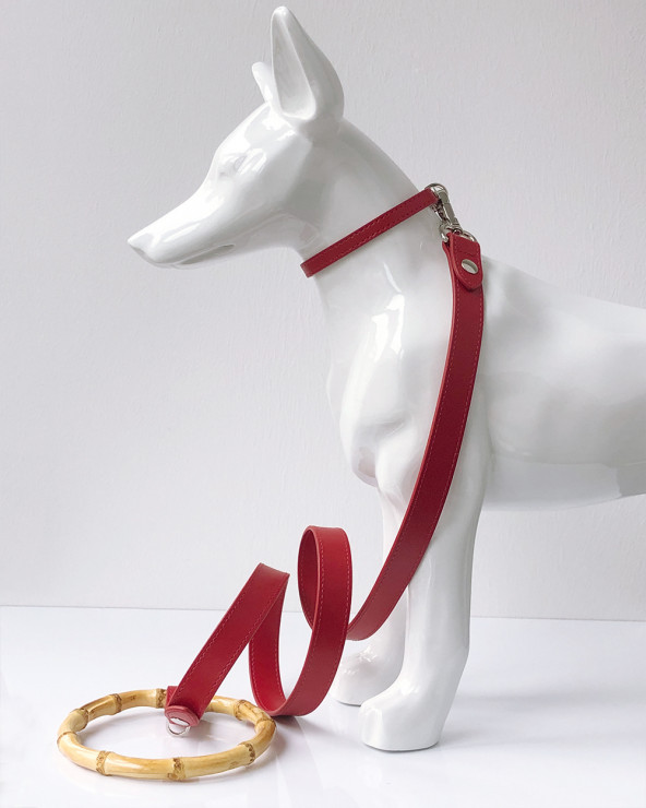 Noble dog leash - Handmade