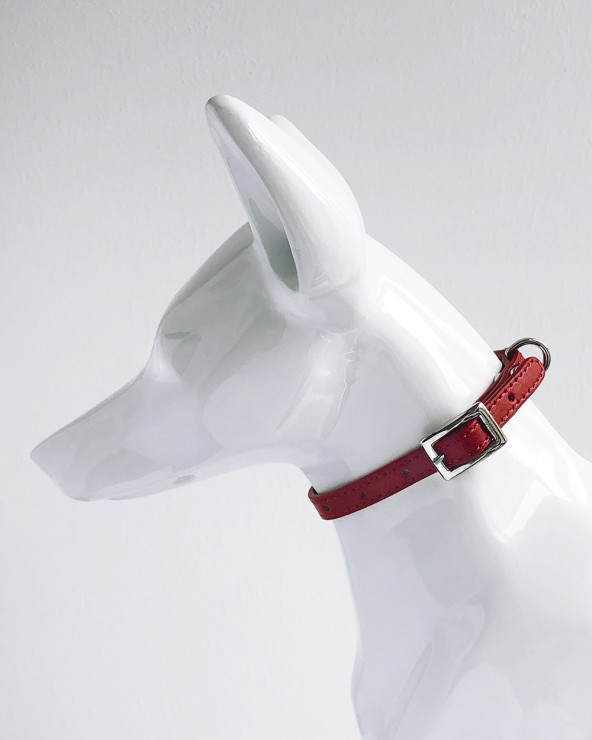 Noble Dog Collar - Buy Now