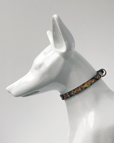 Noble Dog Collar - Buy Now