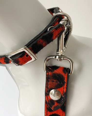 Noble dog leash - Handmade