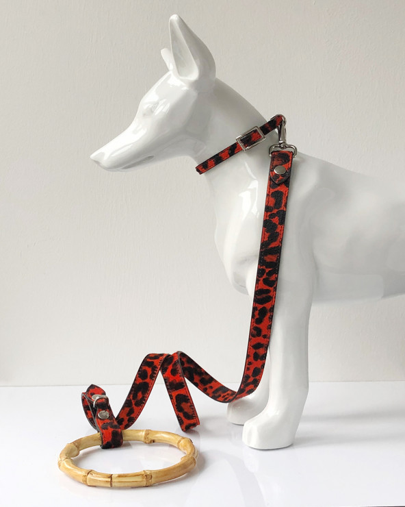 Noble dog leash - Handmade