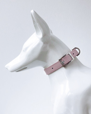 Noble Dog Collar - Buy Now