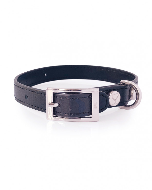 Noble Dog Collar - Buy Now