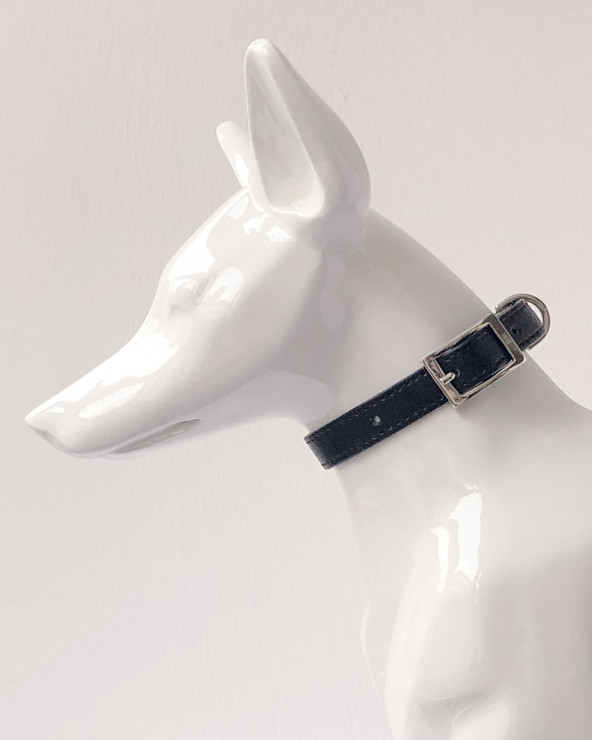 Noble Dog Collar - Buy Now