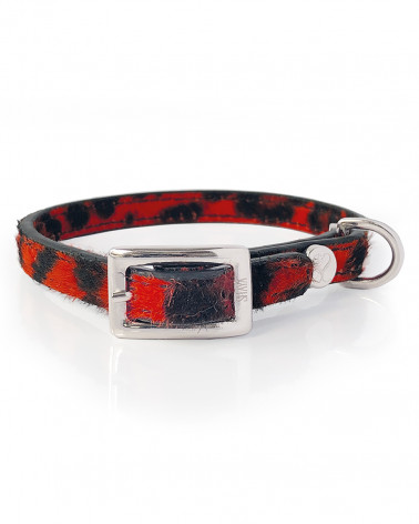 Noble Dog Collar - Buy Now