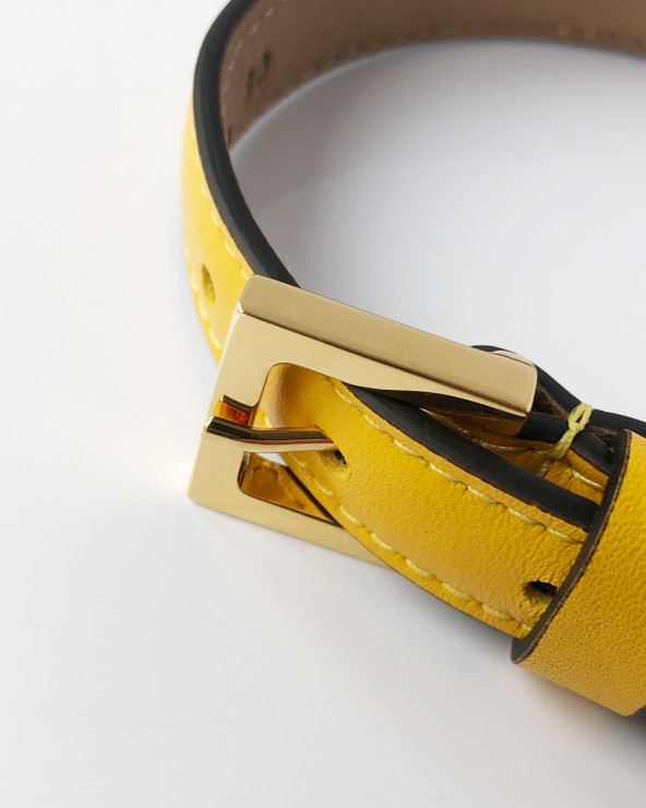 Beautiful Dog Collar - Luxury Dog Products