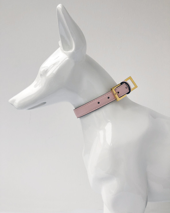 Luxus Halsbänder für Hunde - Jetzt ansehen