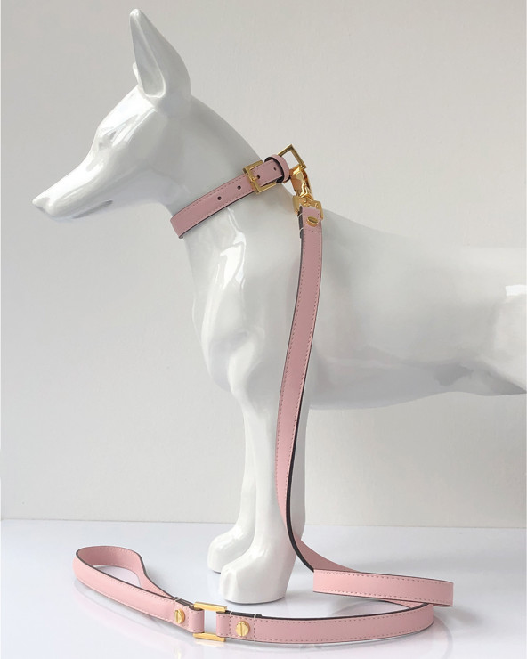 Luxury Collars for Dogs - View Now