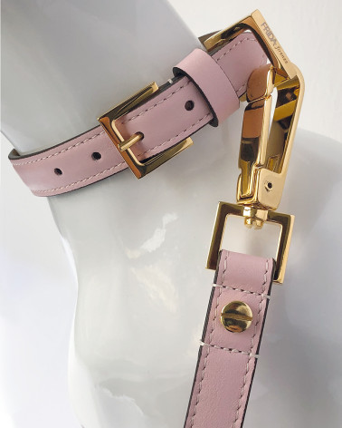 Luxury Collars for Dogs - View Now