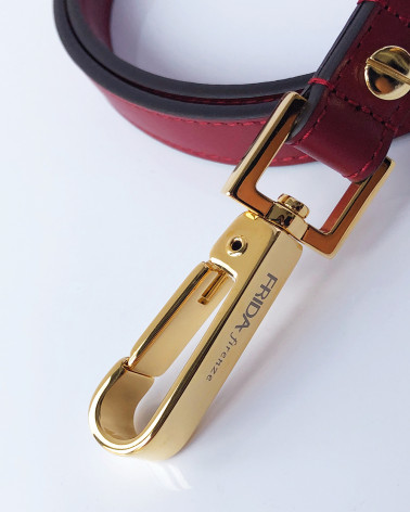 Luxury dog leash - The best for your dog