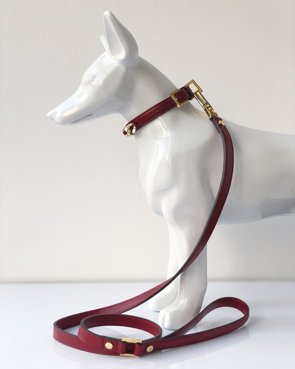 Luxury dog leash - The best for your dog