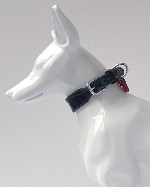 Luxus Halsbänder für Hunde - Kostenloser Versand