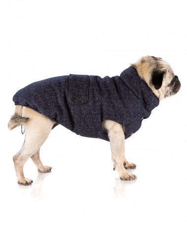 Jacket for Dogs - Free Shipping