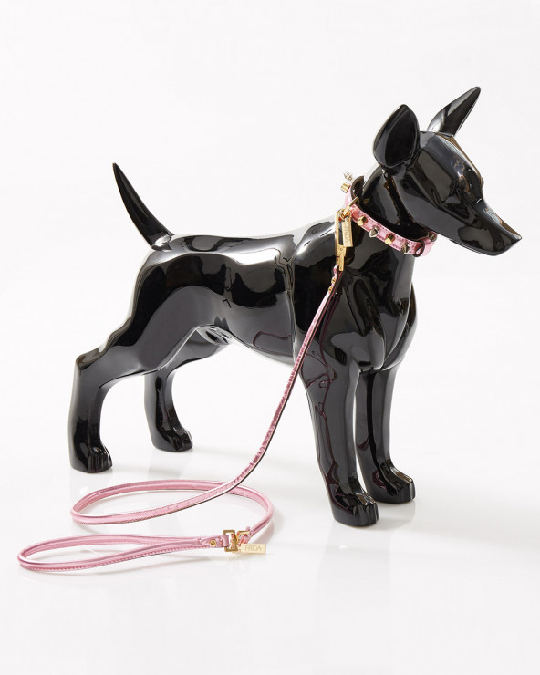 Luxury dog leash - The best for your dog