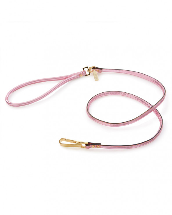 Luxury dog leash - The best for your dog