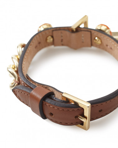 Luxury Collars for Dogs - Free Shipping