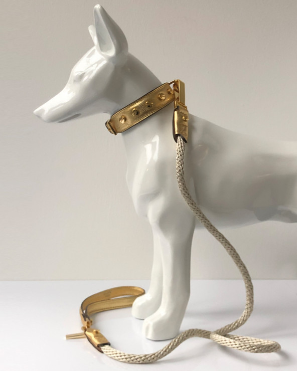 Luxury Collars for Dogs - Buy Now