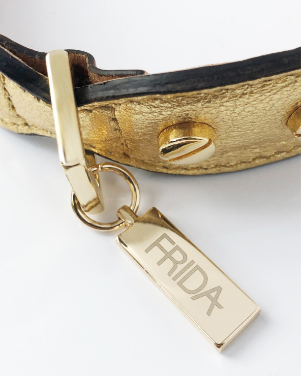 Luxury Collars for Dogs - Buy Now