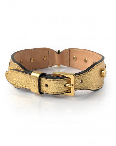 Luxury Collars for Dogs - Buy Now