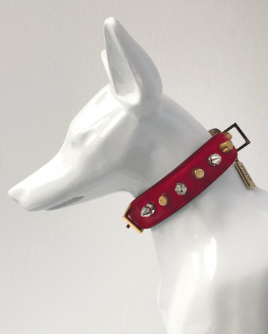 Luxury Collars for Dogs - Buy Now