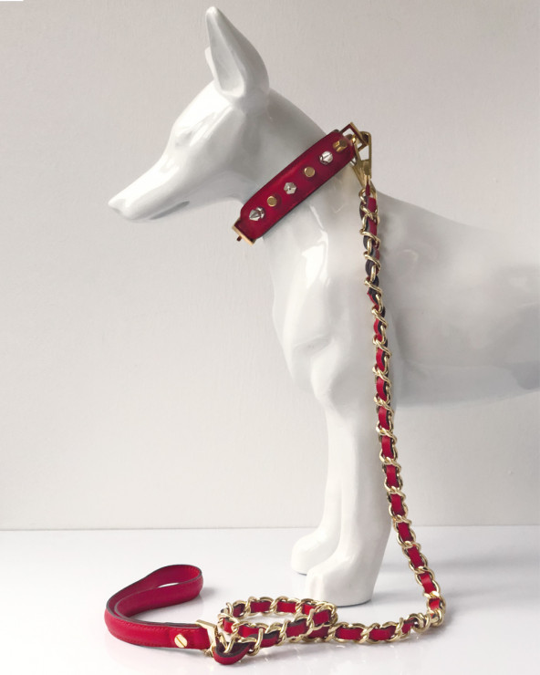 Luxury Collars for Dogs - Buy Now