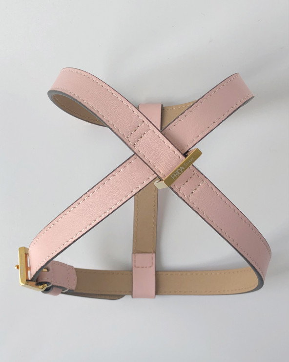 Comfortable dog harness in two colors.