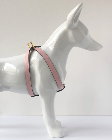 Comfortable dog harness in two colors.