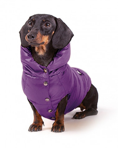 Lightweight Down Jacket for Dogs