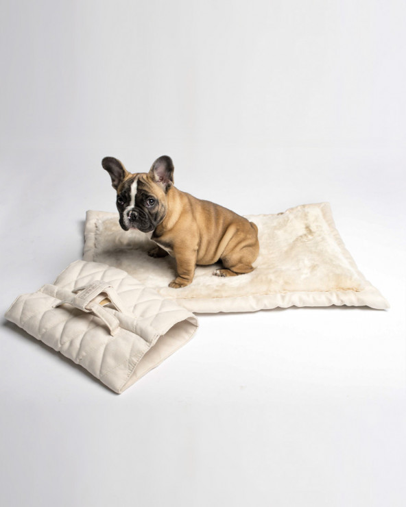Designer Dog Blanket - Free Shipping