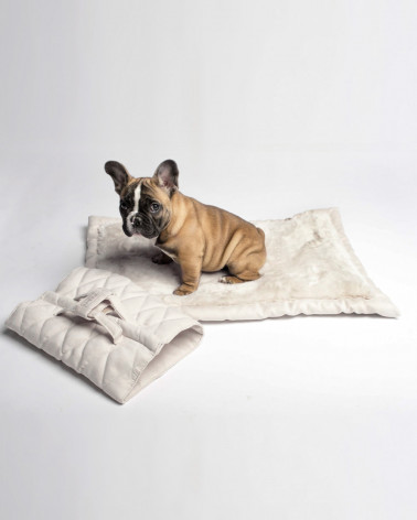 Designer Dog Blanket - Free Shipping