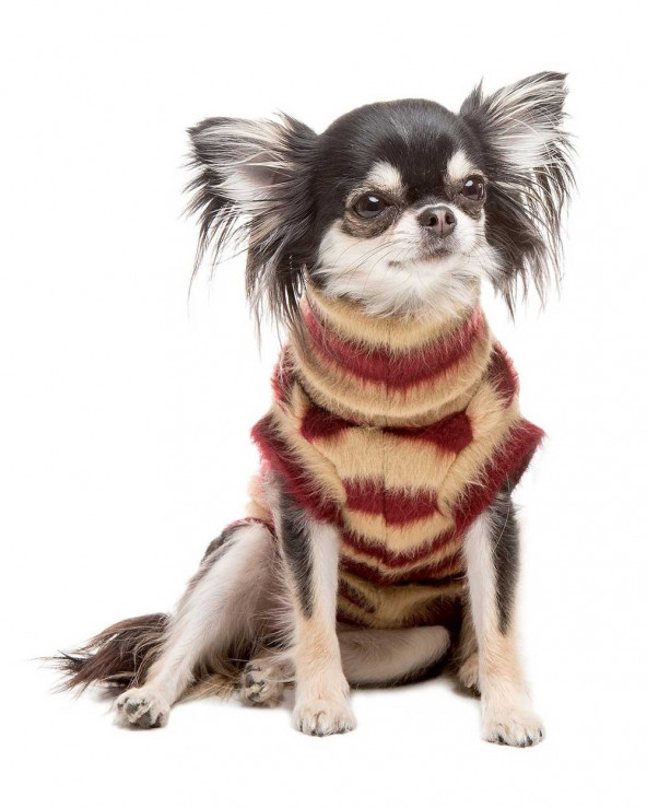 Wool jumper with striped pattern - For Dogs