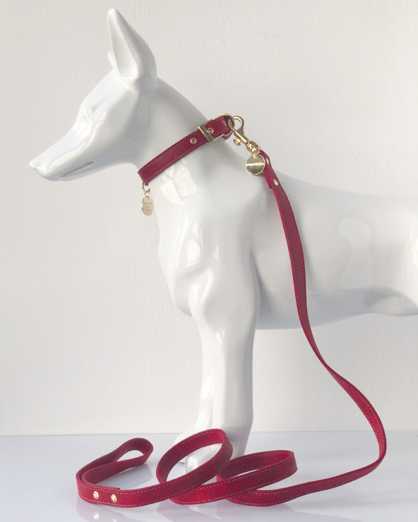 Noble dog leash - Made in Europe