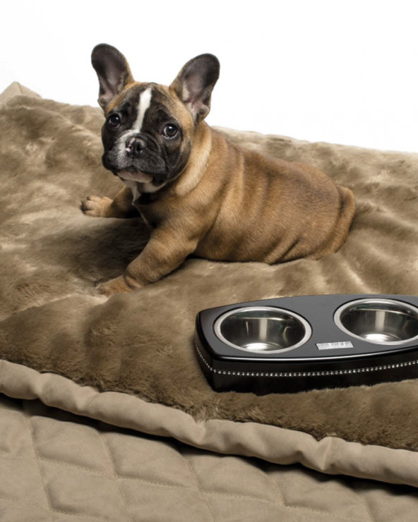 Designer Dog Blanket Free Shipping