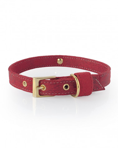 Luxury dog collars - Handmade in Italy