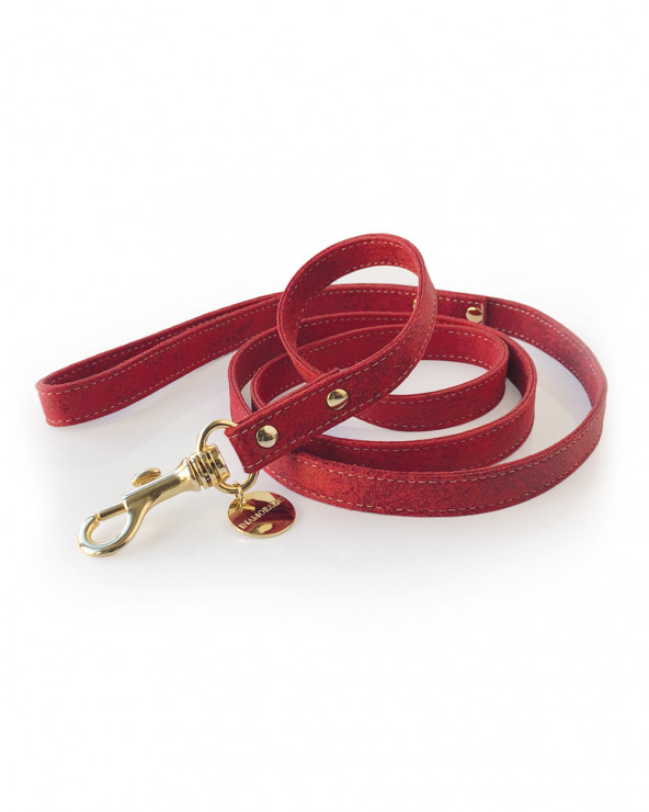 Luxus Halsbänder für Hunde - In Handarbeit gefertigt