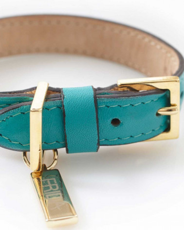 Luxury leather collars - For Dogs