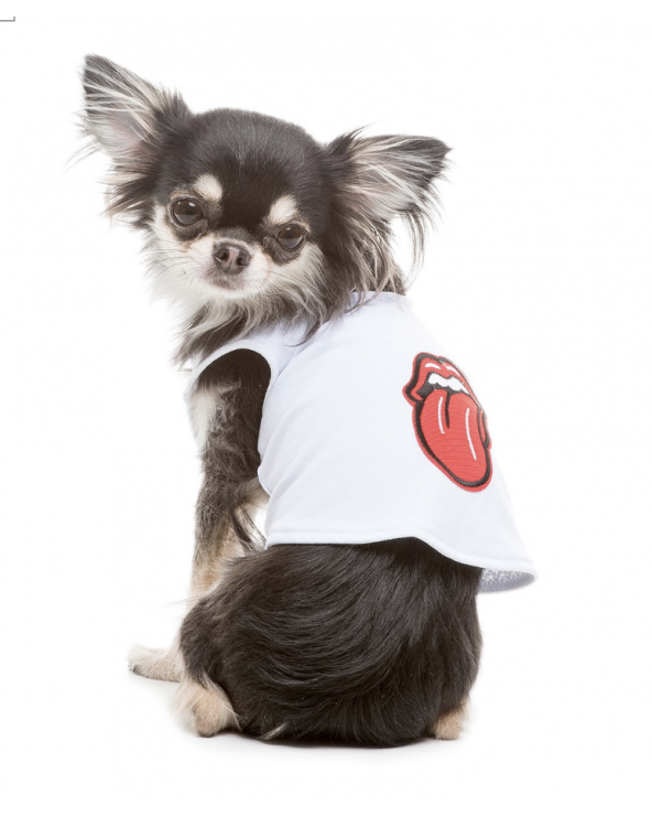 Rolling Stone Shirt for Dogs - Free shipping