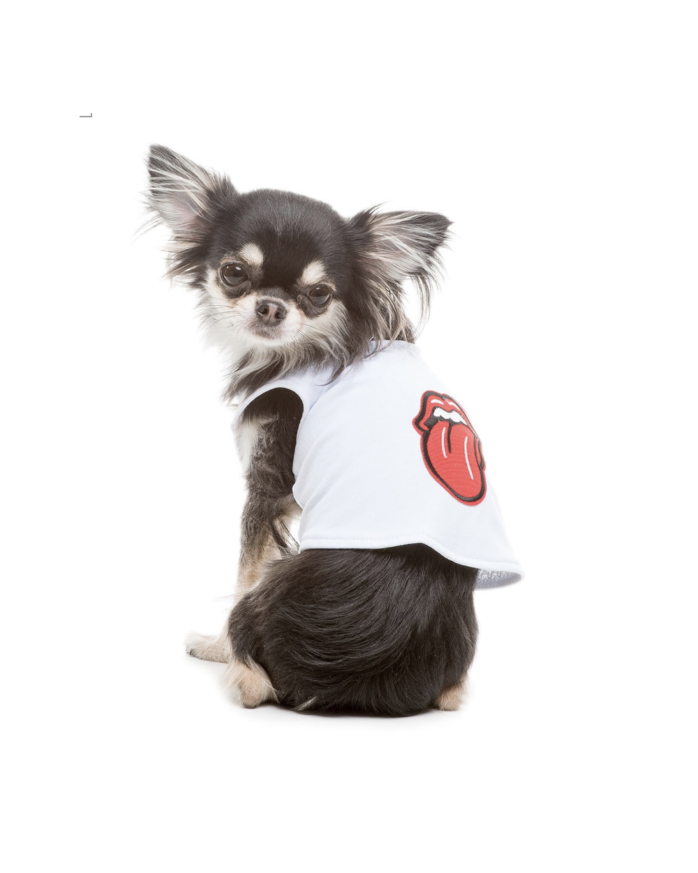 Rolling Stone Shirt für Hunde - Kostenloser Versand