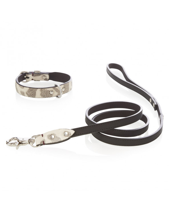 Luxury Collars for Dogs - Free Shipping