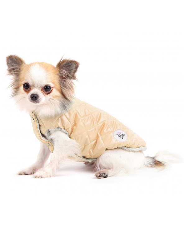 Jacket for Dogs - Free Shipping