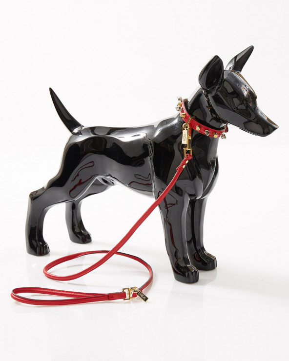 Luxury dog leash - The best for your dog